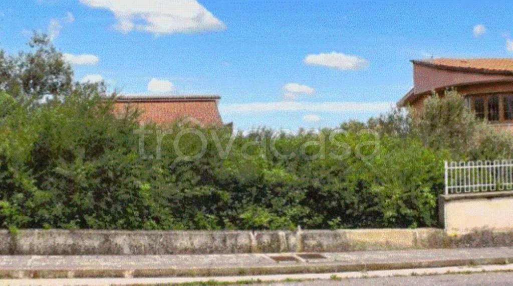 terreno agricolo in vendita a Sant'Agata di Militello