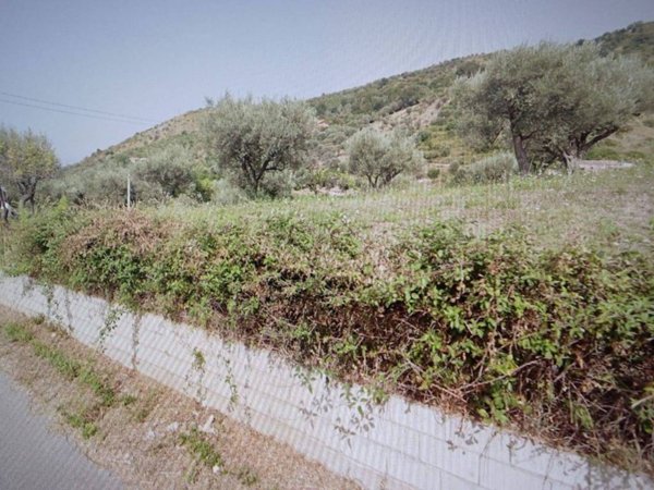 terreno agricolo in vendita a Sant'Agata di Militello
