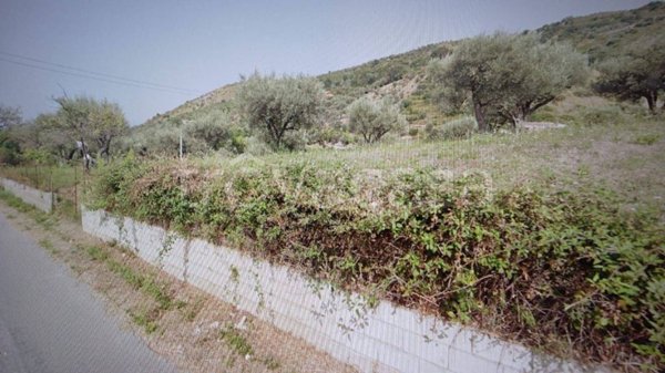 terreno agricolo in vendita a Sant'Agata di Militello
