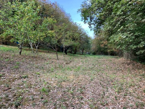 terreno agricolo in vendita a Sant'Agata di Militello