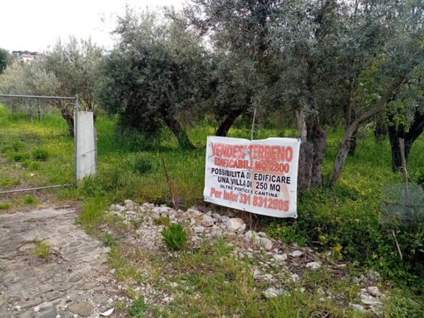 terreno agricolo in vendita a Sant'Agata di Militello