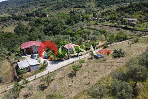 terreno agricolo in vendita a Sant'Agata di Militello