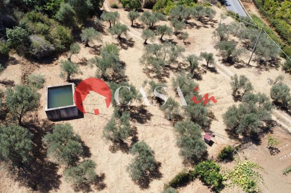 terreno agricolo in vendita a Sant'Agata di Militello