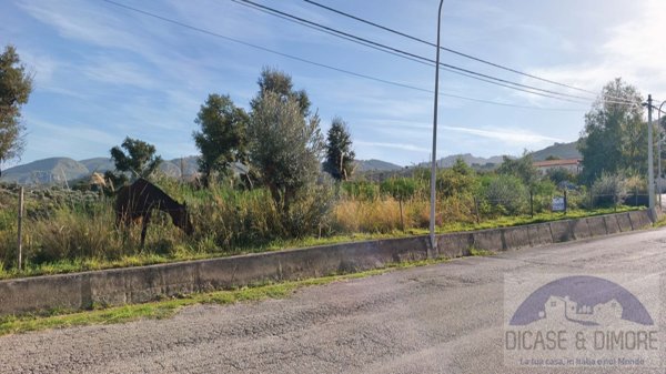 terreno agricolo in vendita a Sant'Agata di Militello