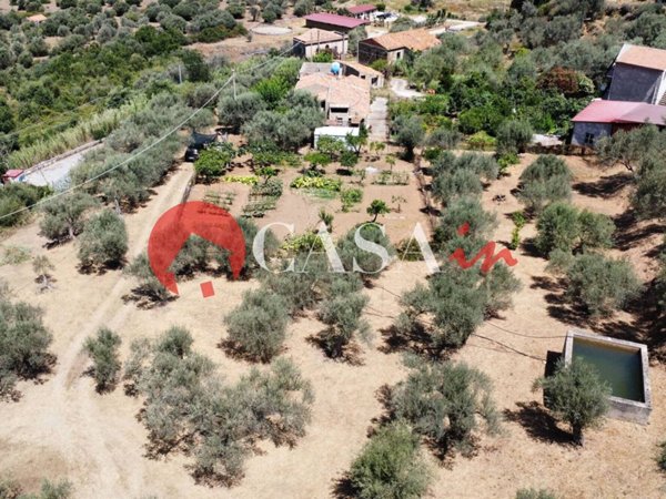 terreno agricolo in vendita a Sant'Agata di Militello