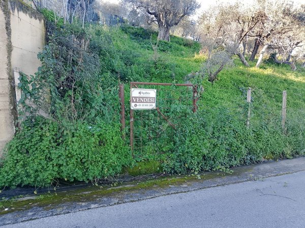 terreno agricolo in vendita a Sant'Agata di Militello