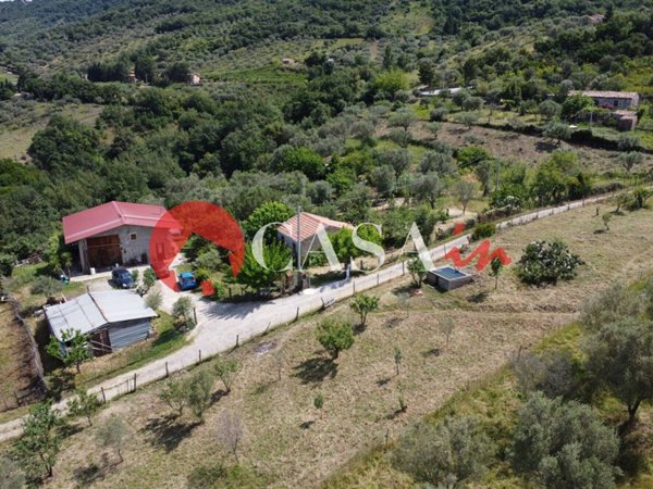 terreno agricolo in vendita a Sant'Agata di Militello