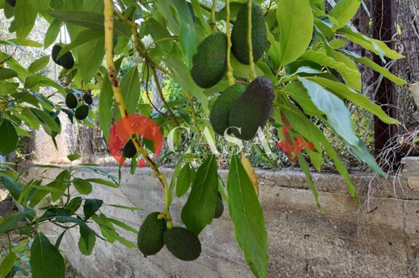 appartamento in vendita a Sant'Agata di Militello