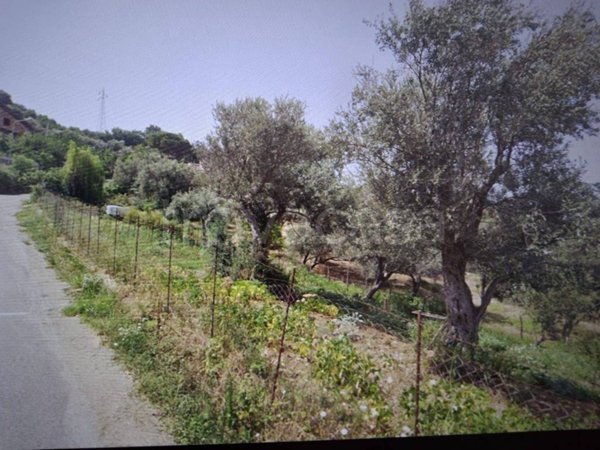 terreno agricolo in vendita a Sant'Agata di Militello