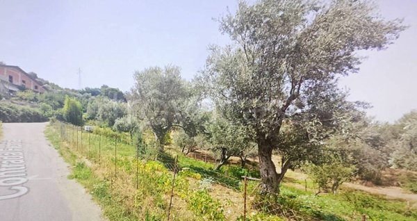 terreno agricolo in vendita a Sant'Agata di Militello