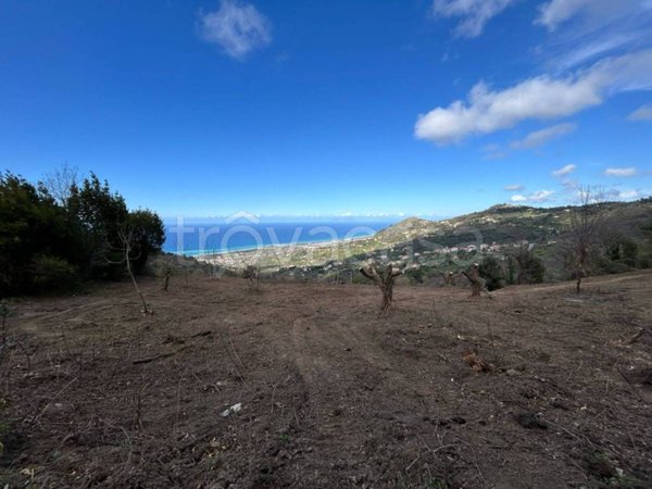 terreno agricolo in vendita a Sant'Agata di Militello