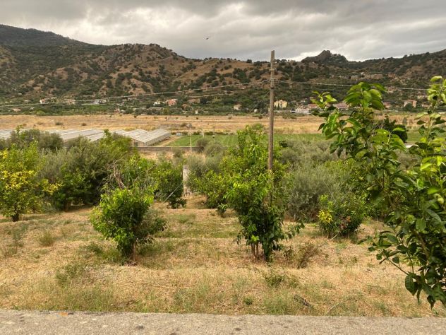 terreno agricolo in vendita a Sant'Alessio Siculo