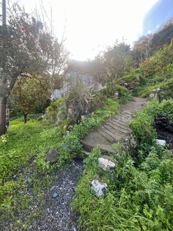 terreno agricolo in vendita a Sant'Alessio Siculo in zona Lacco