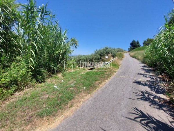 terreno agricolo in vendita a Santa Lucia del Mela