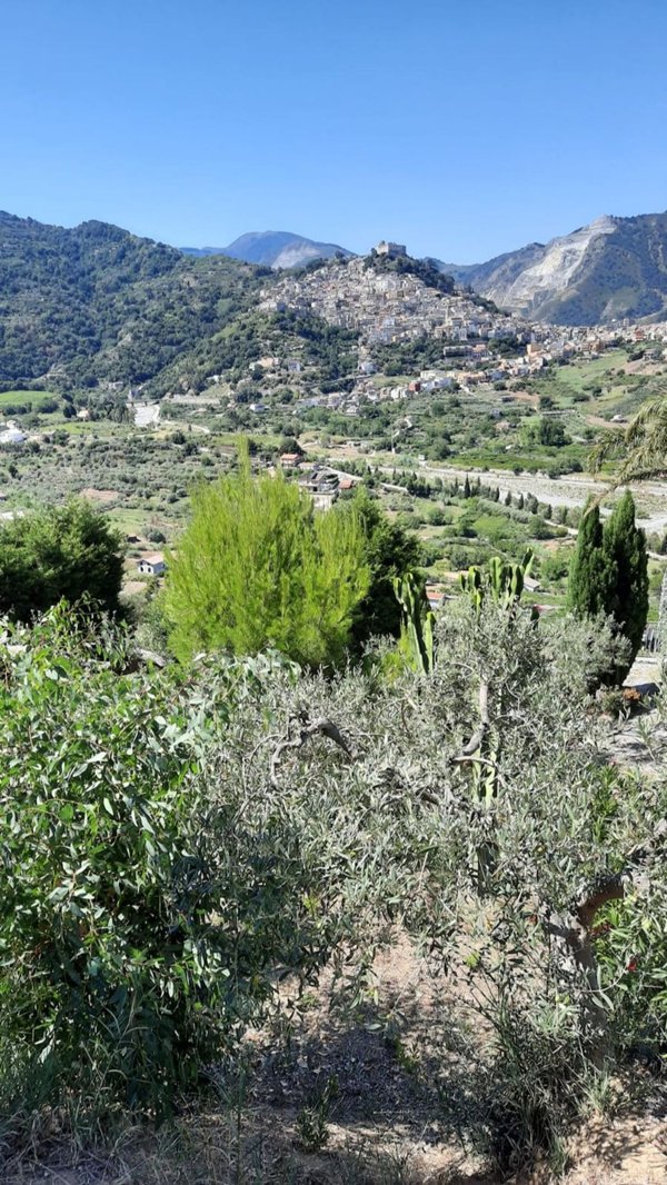terreno agricolo in vendita a Santa Lucia del Mela