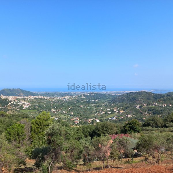terreno agricolo in vendita a Santa Lucia del Mela