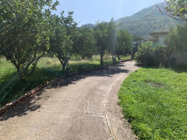 terreno agricolo in vendita a Santa Lucia del Mela