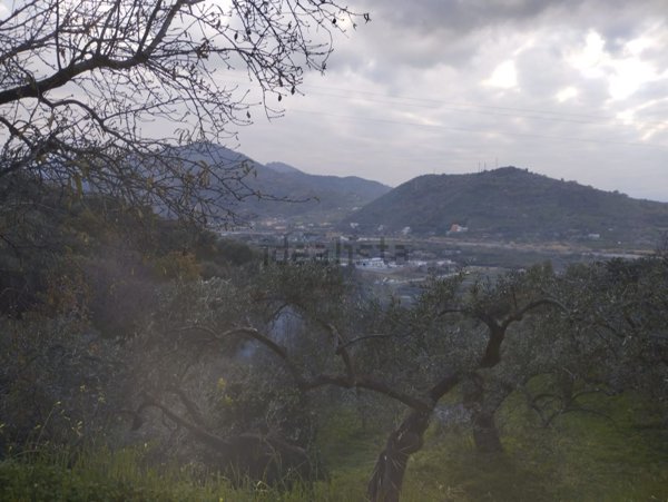 terreno agricolo in vendita a Santa Lucia del Mela