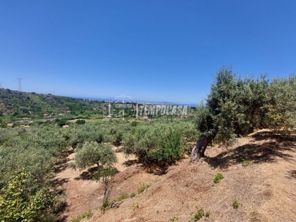terreno agricolo in vendita a Santa Lucia del Mela
