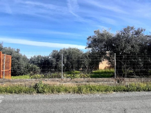 terreno agricolo in vendita a Santa Lucia del Mela