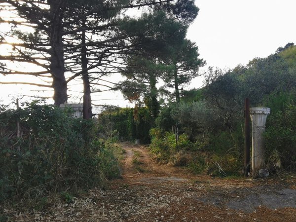 casa indipendente in vendita a Santa Lucia del Mela in zona Femminamorta