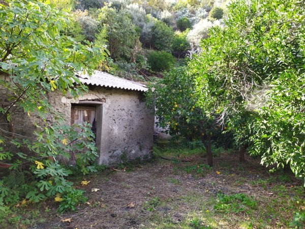 terreno agricolo in vendita a Santa Teresa di Riva in zona Misserio