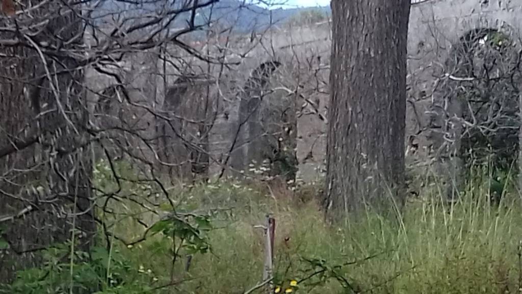 terreno agricolo in vendita a Santa Teresa di Riva