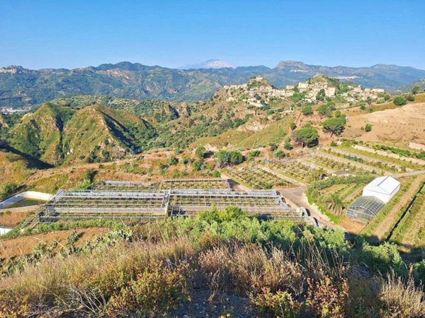azienda agricola in vendita a Santa Teresa di Riva