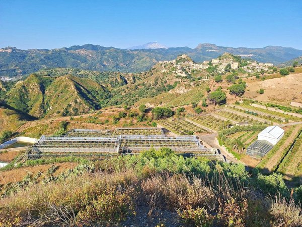 terreno agricolo in vendita a Santa Teresa di Riva