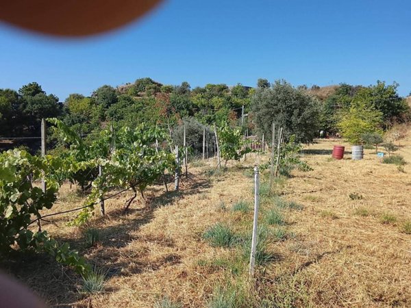 terreno agricolo in vendita a Santa Teresa di Riva