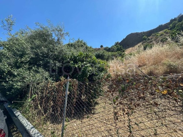terreno agricolo in vendita a Santa Teresa di Riva