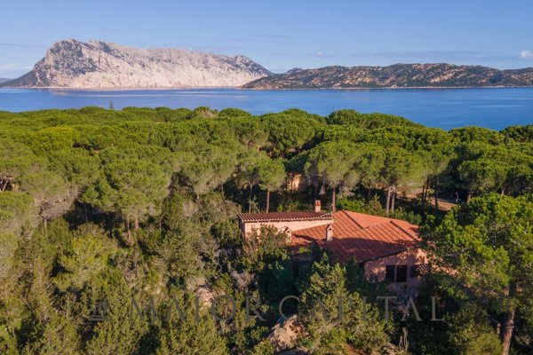 casa indipendente in vendita a San Teodoro(ME)