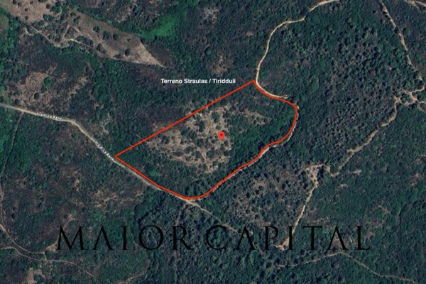 terreno agricolo in vendita a San Teodoro(ME)