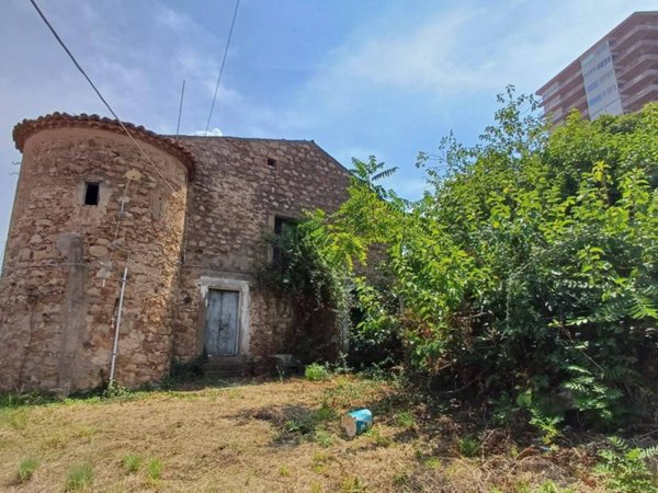 esavano in vendita a Santo Stefano di Camastra