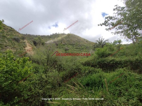 terreno agricolo in vendita a Santo Stefano di Camastra