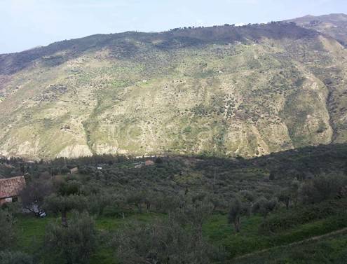 terreno agricolo in vendita a Santo Stefano di Camastra