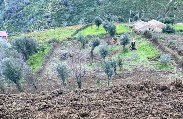 terreno agricolo in vendita a Santo Stefano di Camastra