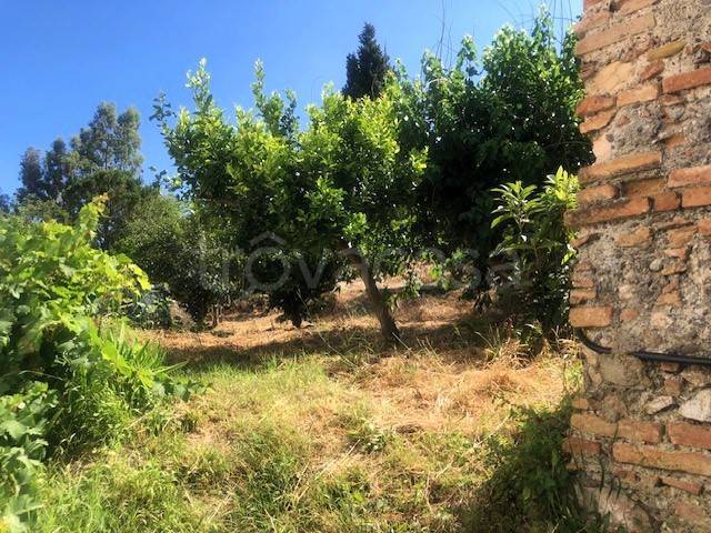 casa indipendente in vendita a Saponara