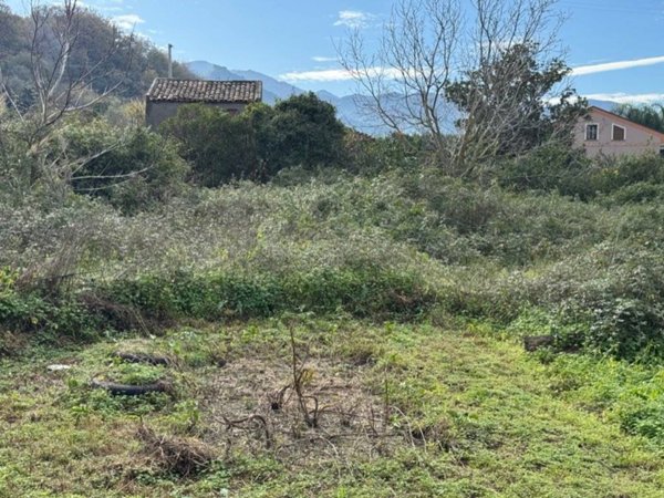 terreno agricolo in vendita a Saponara