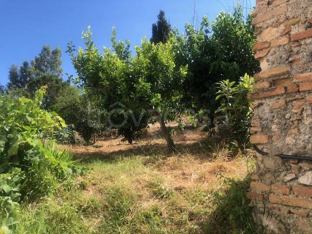terreno agricolo in vendita a Saponara