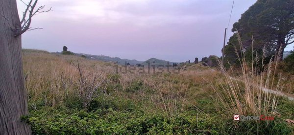 terreno agricolo in vendita a Saponara