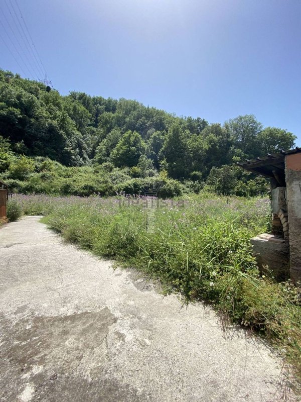 quadrivano in vendita a Saponara