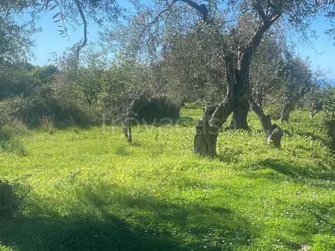 locale di sgombero in vendita a Saponara