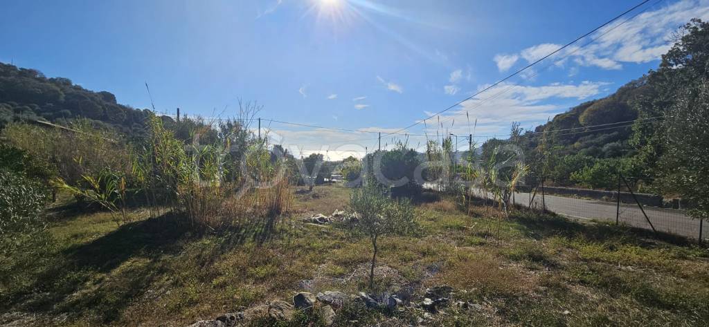 terreno agricolo in vendita a Savoca in zona Botte