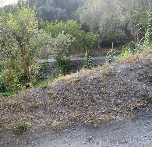 terreno agricolo in vendita a Savoca