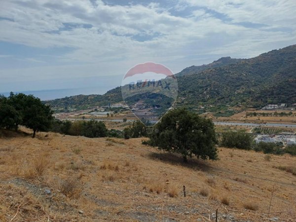 azienda agricola in vendita a Savoca in zona Contura