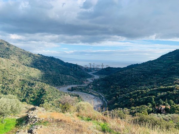 terreno agricolo in vendita a Savoca