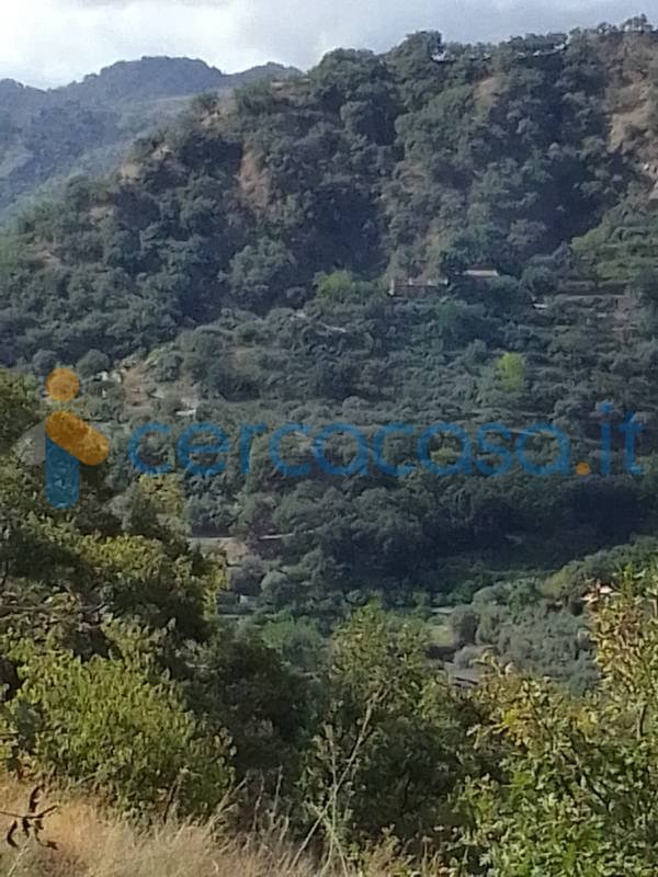 terreno agricolo in vendita a Savoca in zona Rina