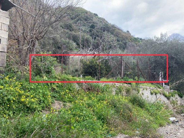 terreno agricolo in vendita a Savoca