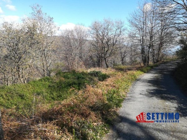 terreno agricolo in vendita a Savoca in zona Mancusa
